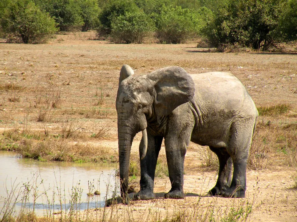 Klicka för att förstora