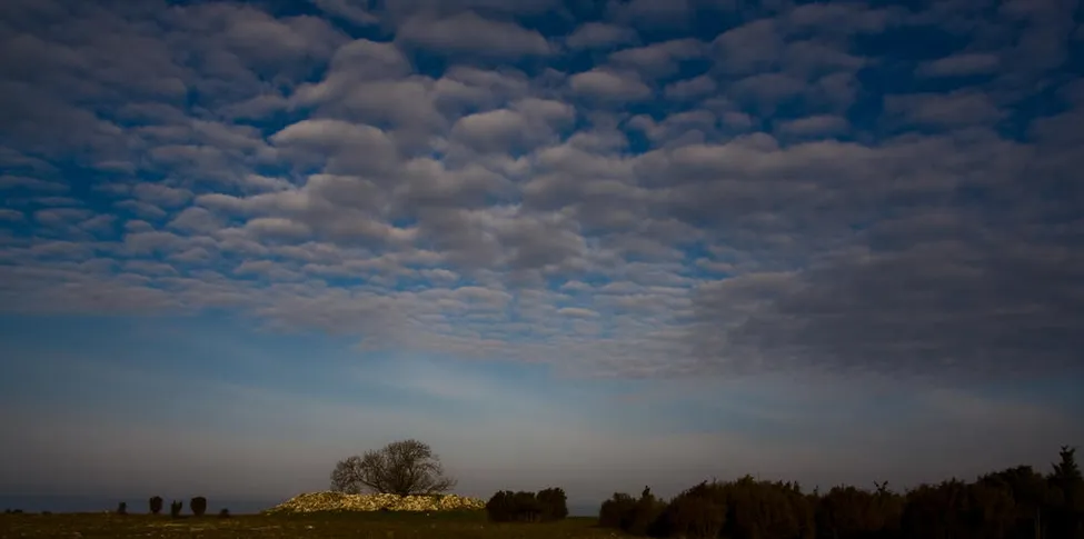 Klicka för att förstora
