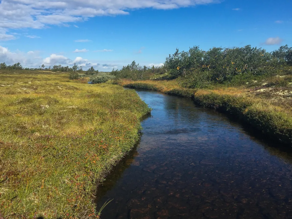 Klicka för att förstora