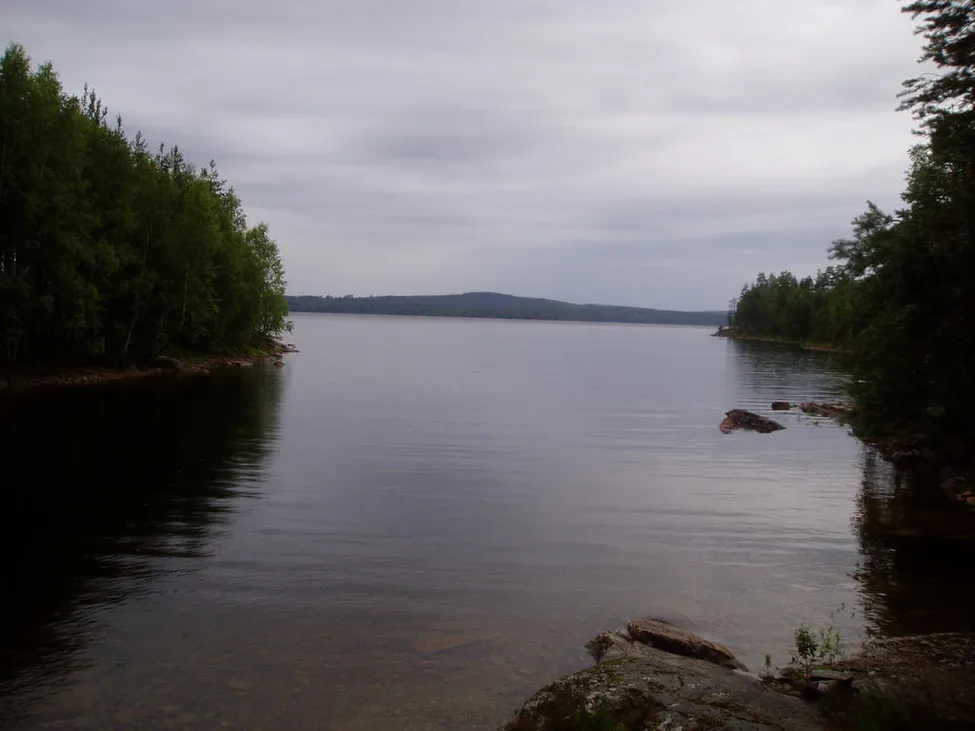 Klicka för att förstora