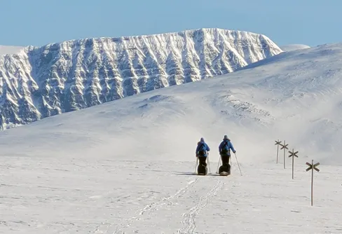 Fler Vita Bandare än någonsin på väg längs den svenska fjällkedjan