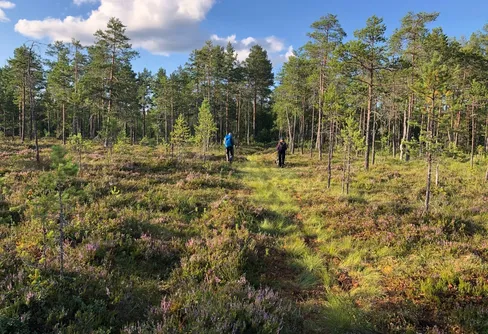 Vandringens dag 11 september