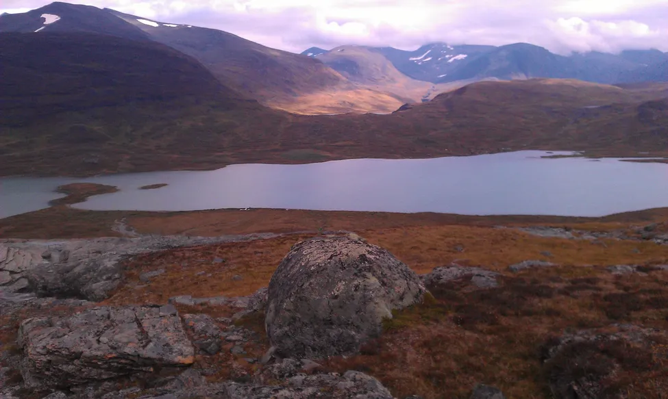 Klicka för att förstora