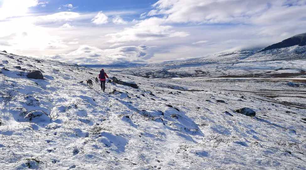 Klicka för att förstora
