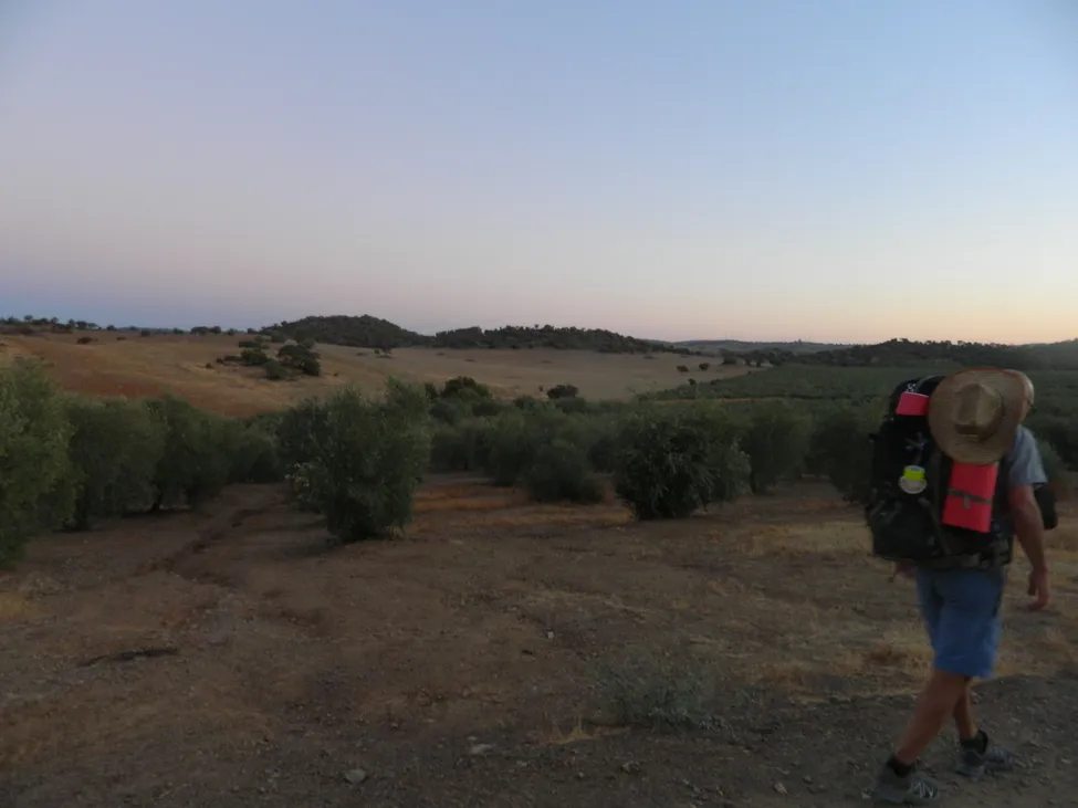 Klicka för att förstora