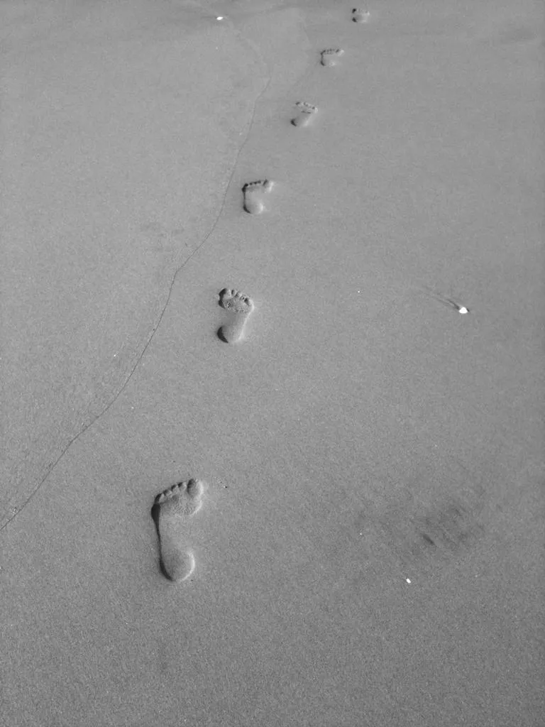 Klicka för att förstora