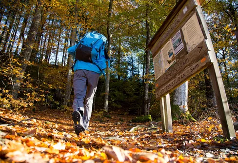Utsidan tipsar: 15 leder för dagsvandringar