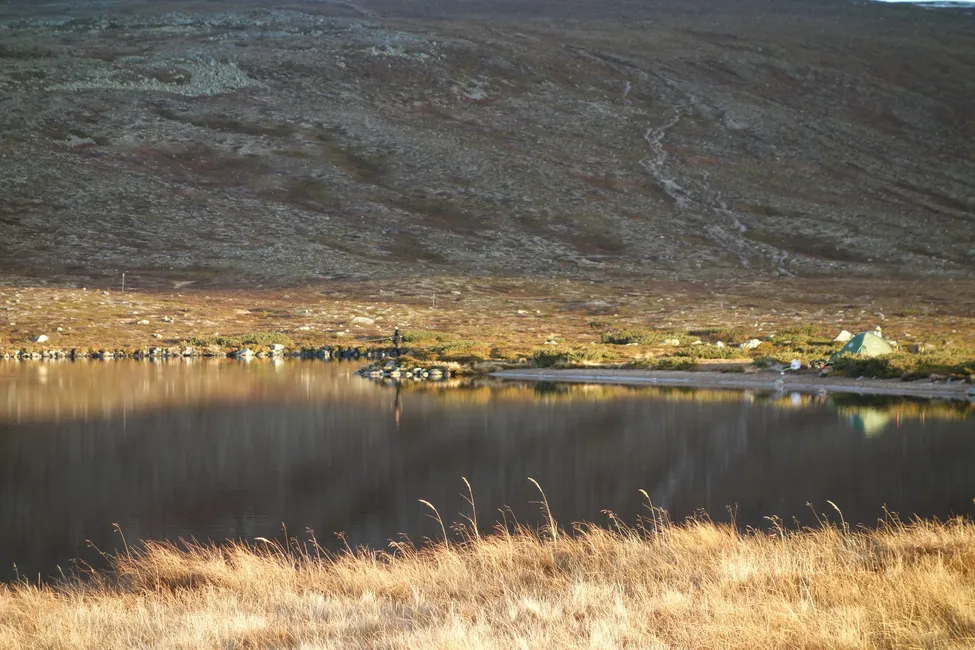Klicka för att förstora