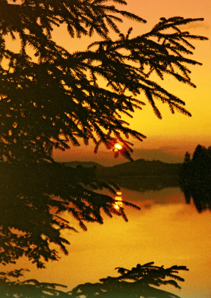 Klicka för att förstora