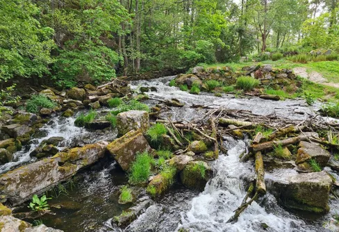 Sörmlandsleden 50 år!