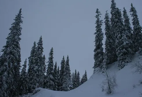 Många nyanser av grått på nyårsafton