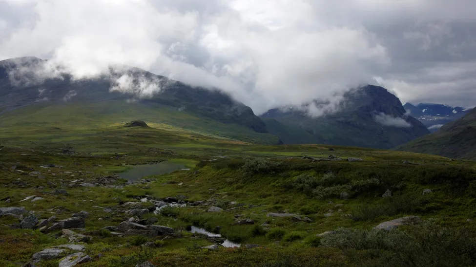 Klicka för att förstora