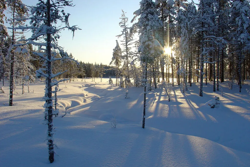 Klicka för att förstora