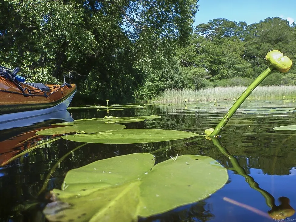 Klicka för att förstora