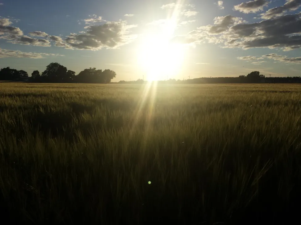 Klicka för att förstora