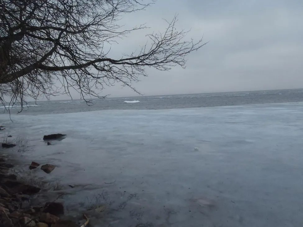 Klicka för att förstora