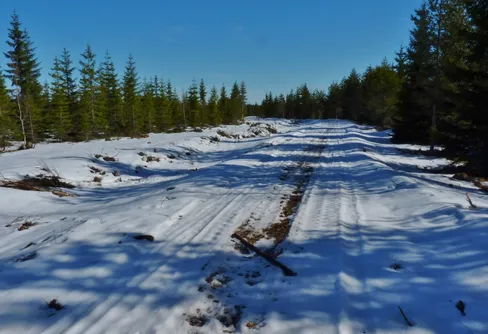 Hallmarkshöjden runt och lite till