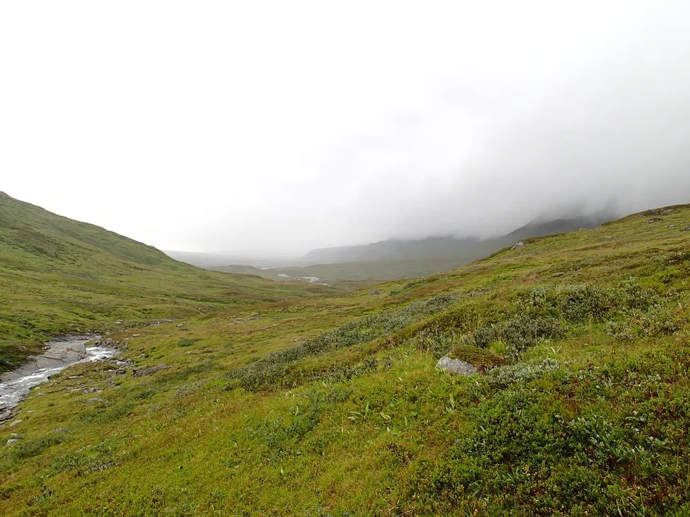 Klicka för att förstora