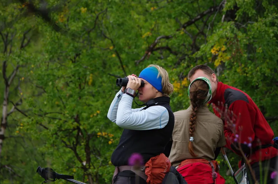 Klicka för att förstora