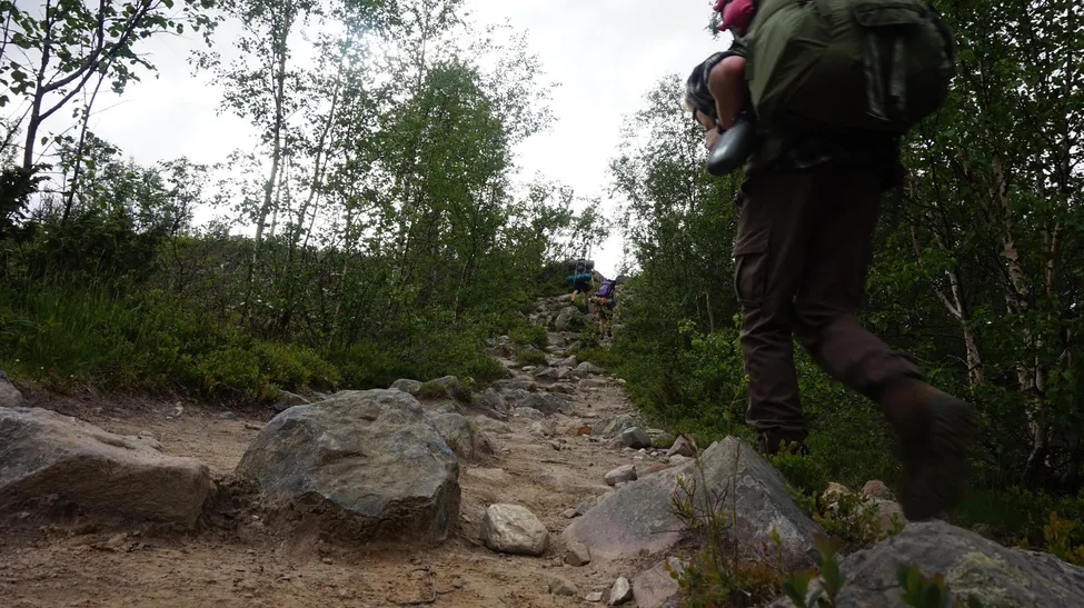 Klicka för att förstora