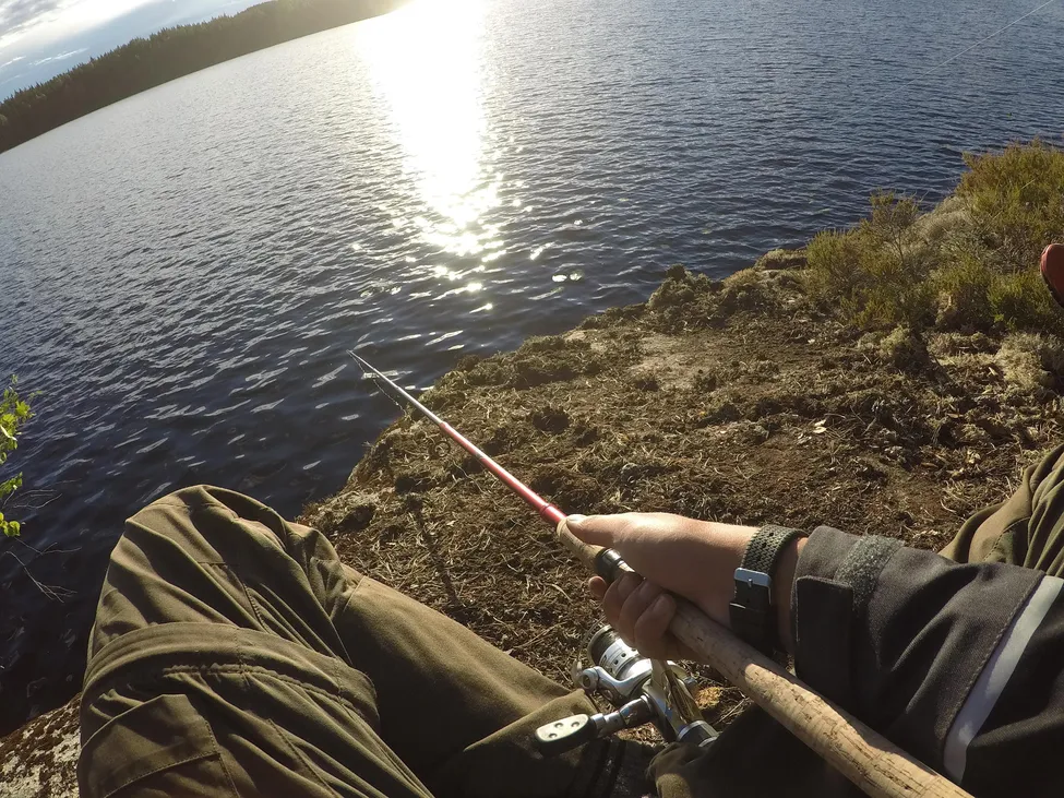 Klicka för att förstora