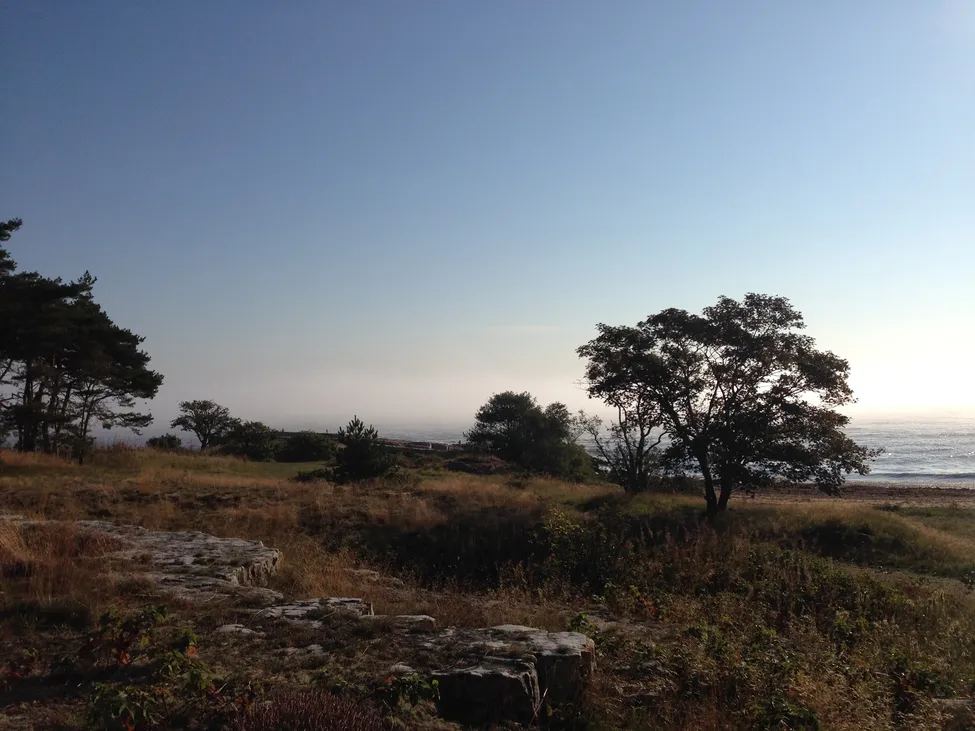 Klicka för att förstora