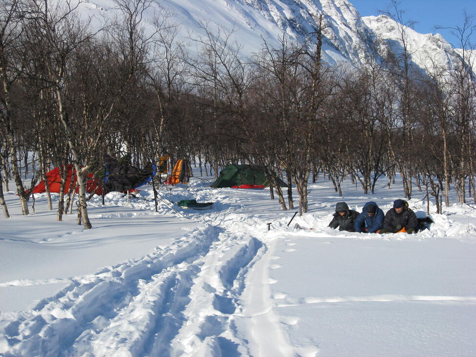 Klicka för att förstora