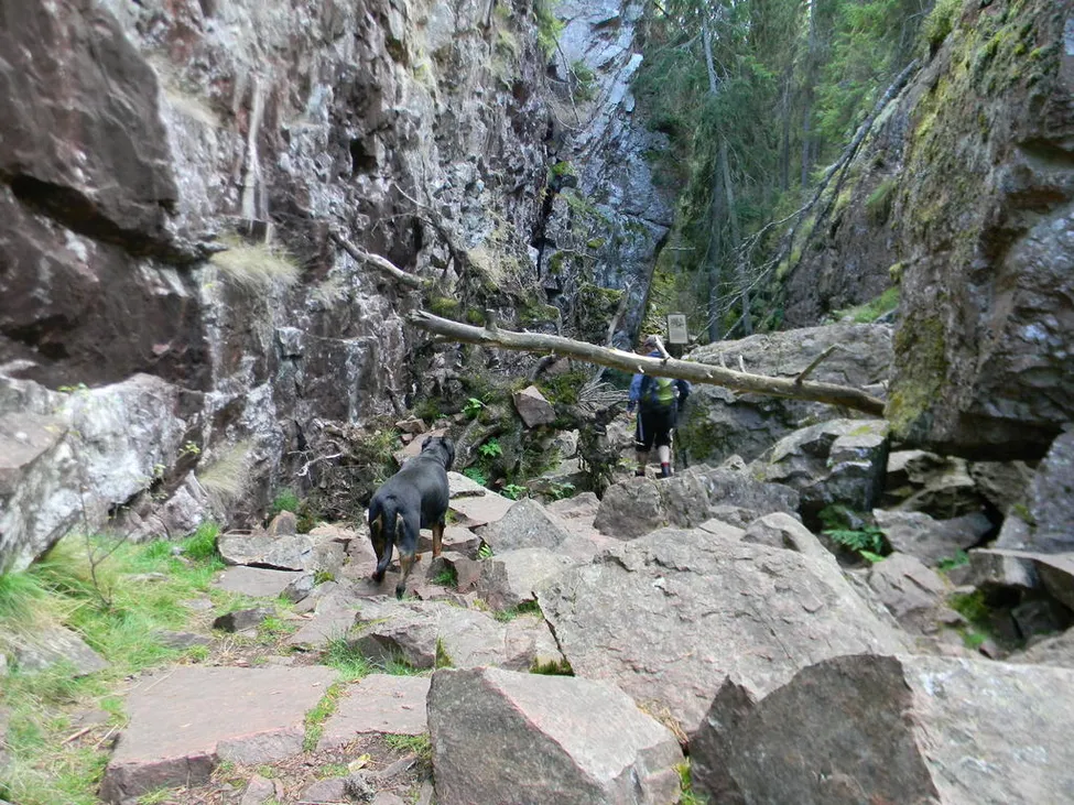 Klicka för att förstora