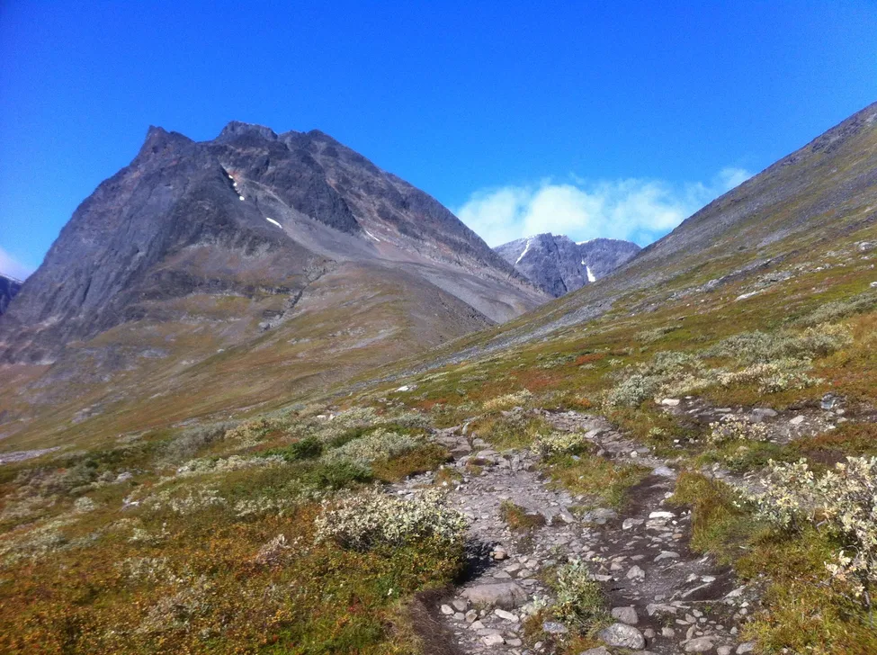 Klicka för att förstora