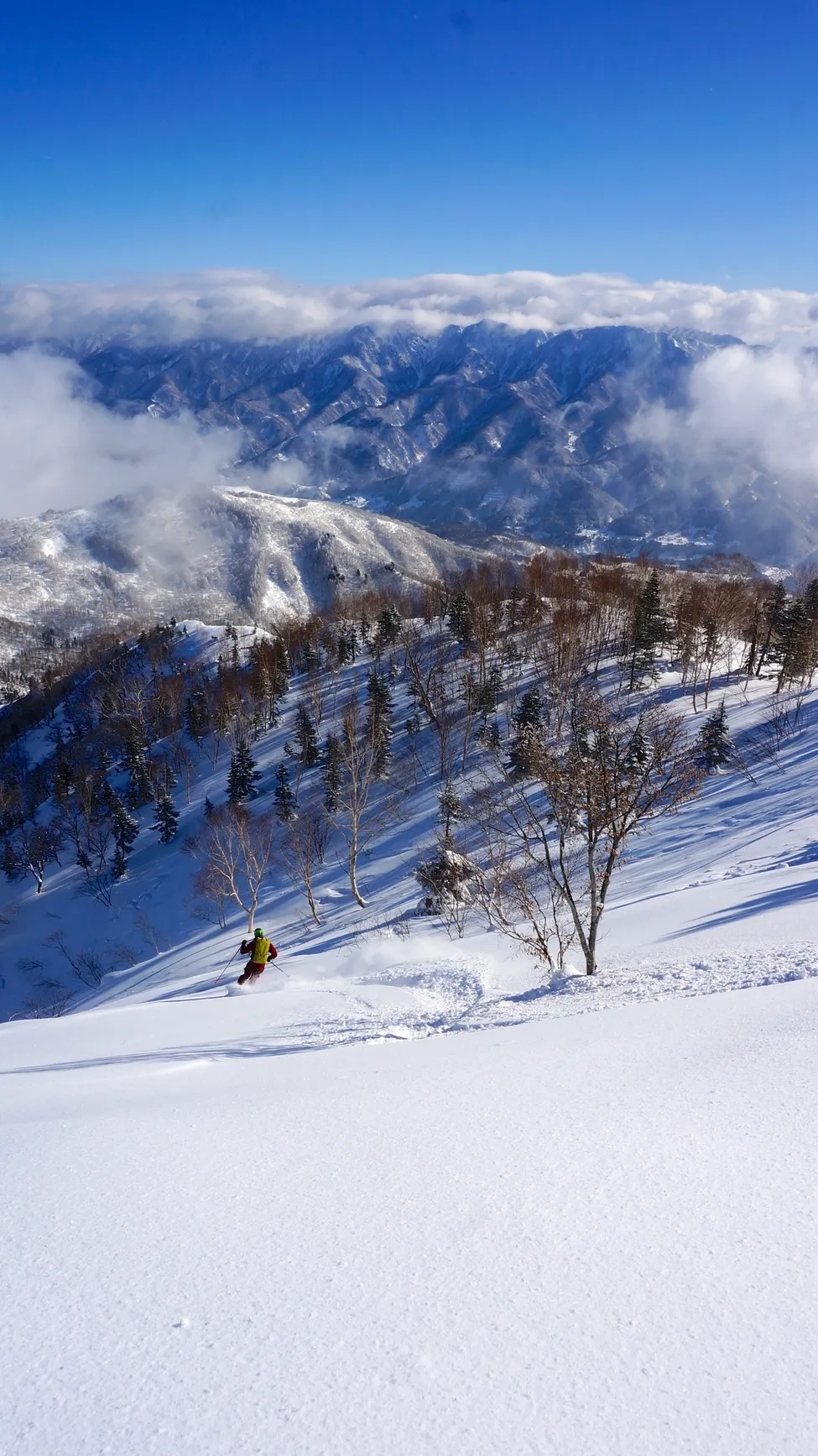 Klicka för att förstora
