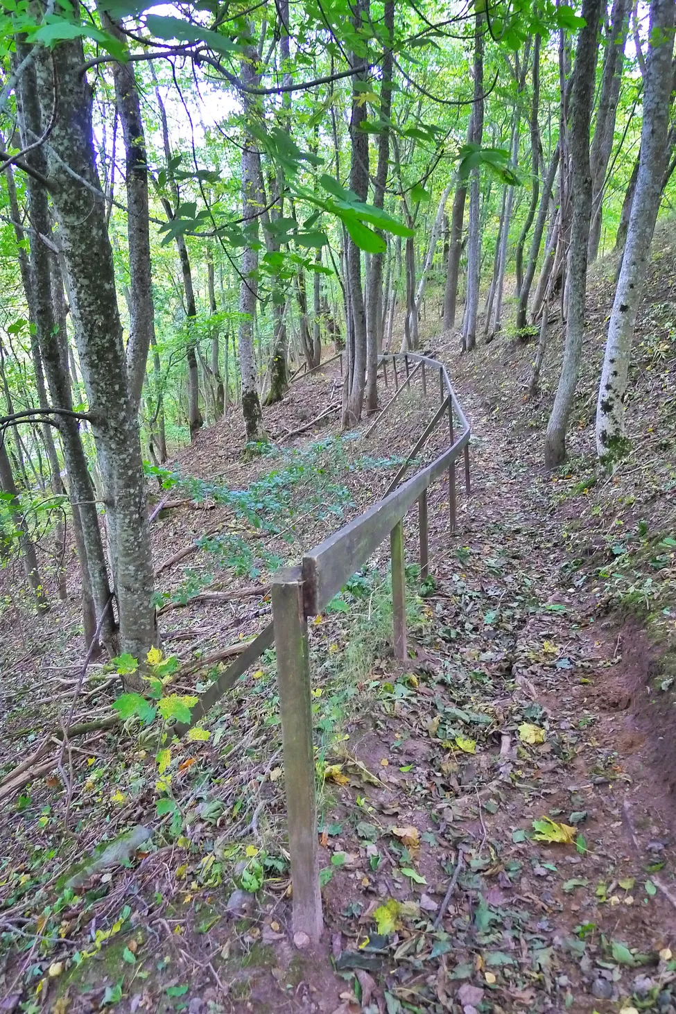 Klicka för att förstora
