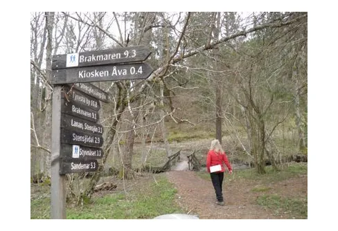 Vandring i Tyresta Nationalpark