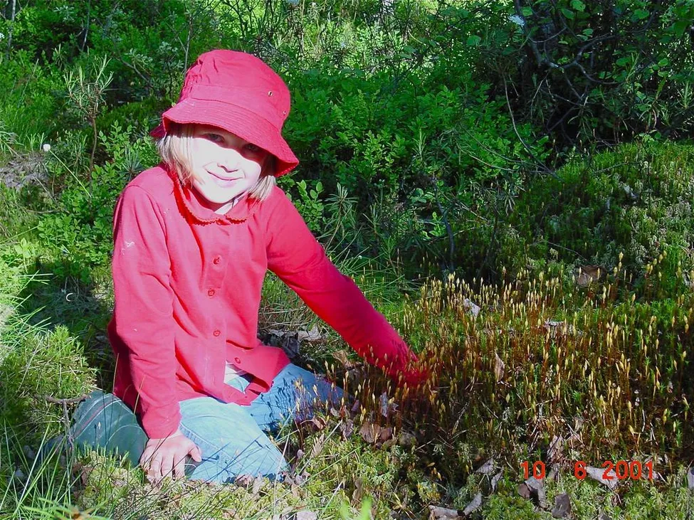 Klicka för att förstora