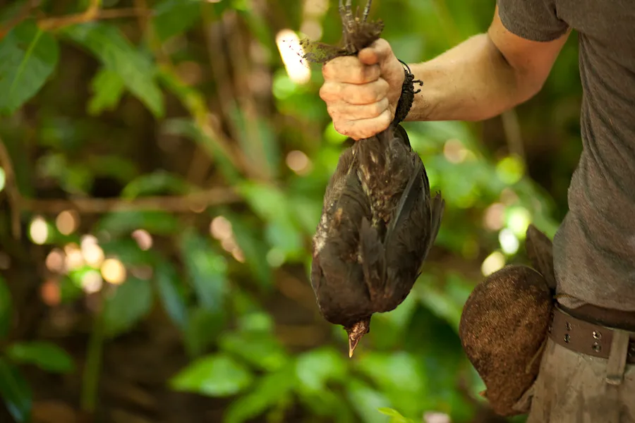 Klicka för att förstora