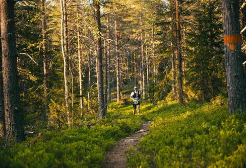 Guide: 10 terränglopp i Sverige