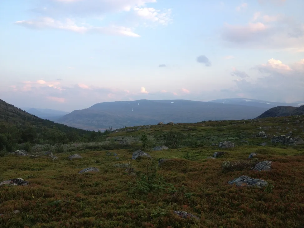 Klicka för att förstora