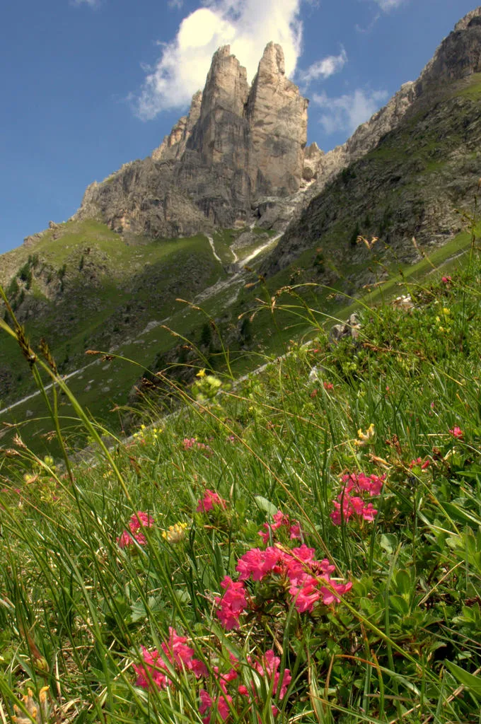 Klicka för att förstora