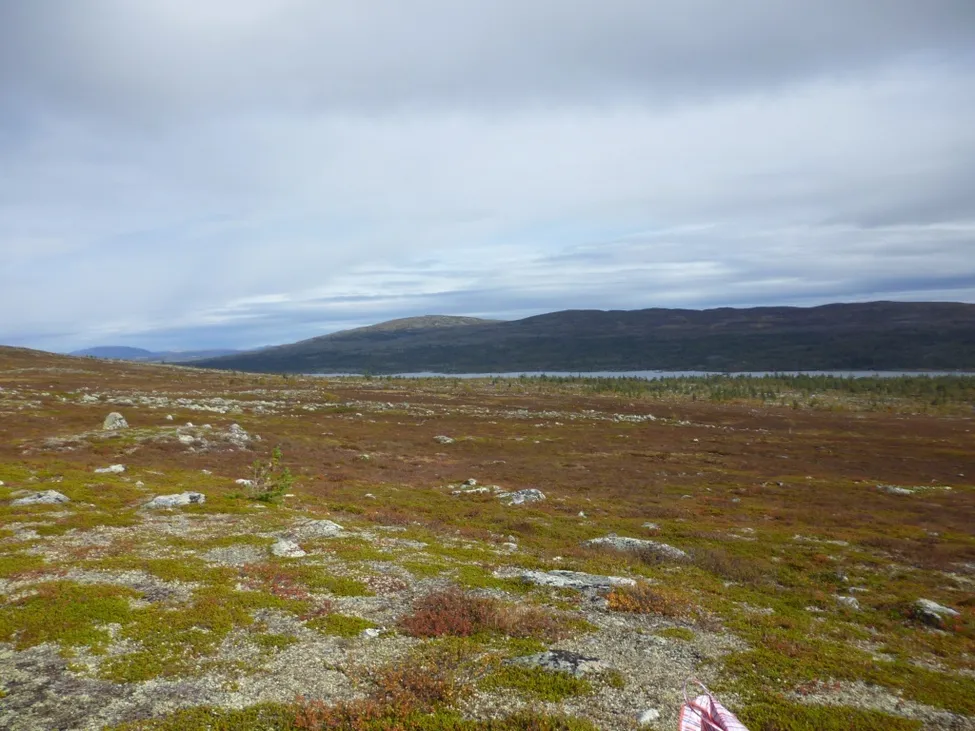 Klicka för att förstora