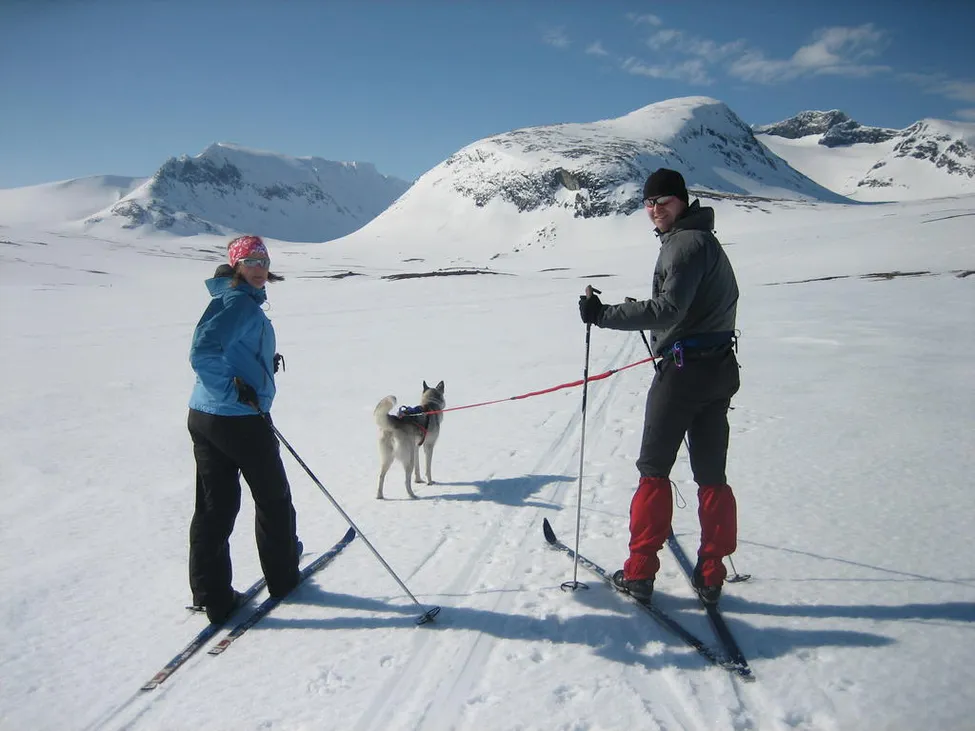 Klicka för att förstora