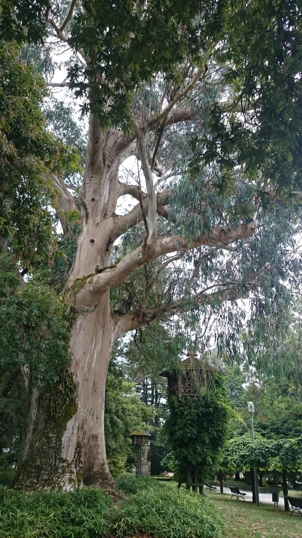 Klicka för att förstora