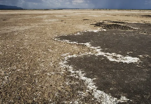 I stundens ingivelse