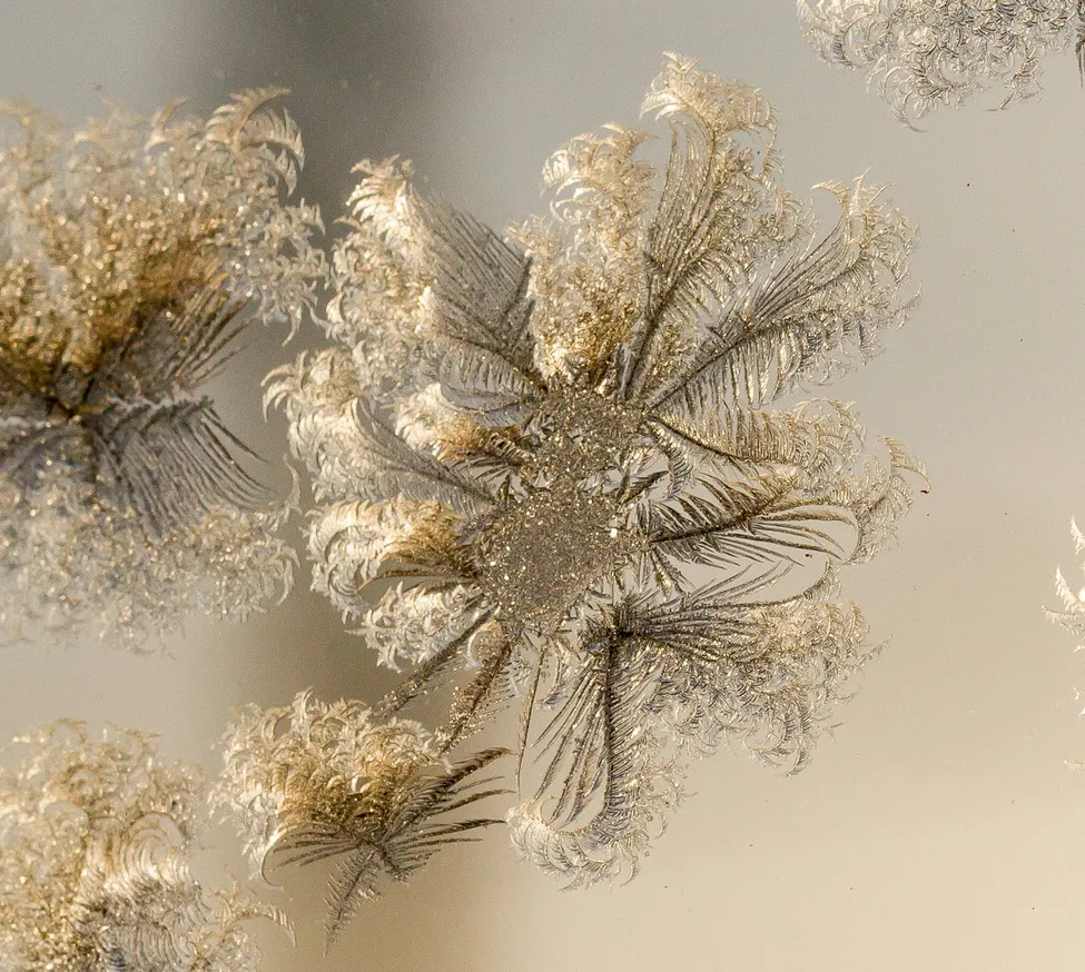Klicka för att förstora