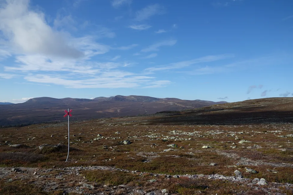 Klicka för att förstora