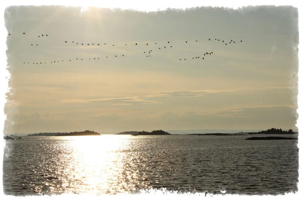 Klicka för att förstora