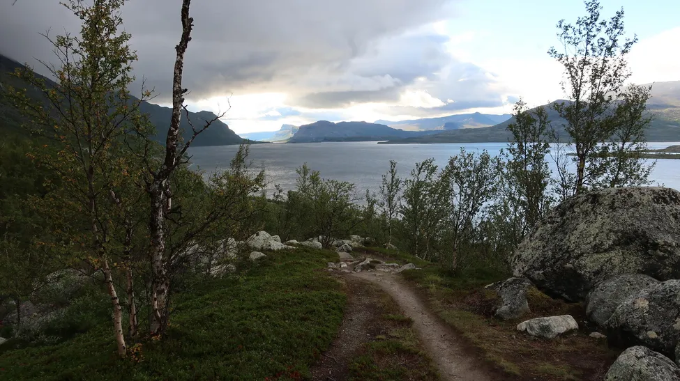 Klicka för att förstora