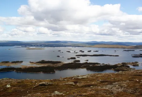 Fjällnära skärgård visar hur artförluster påverkar ekosystems funktioner