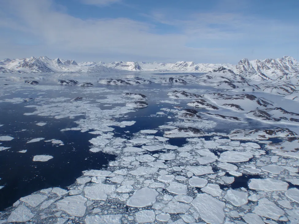 Klicka för att förstora
