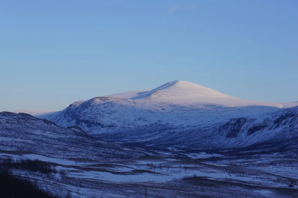 Klicka för att förstora