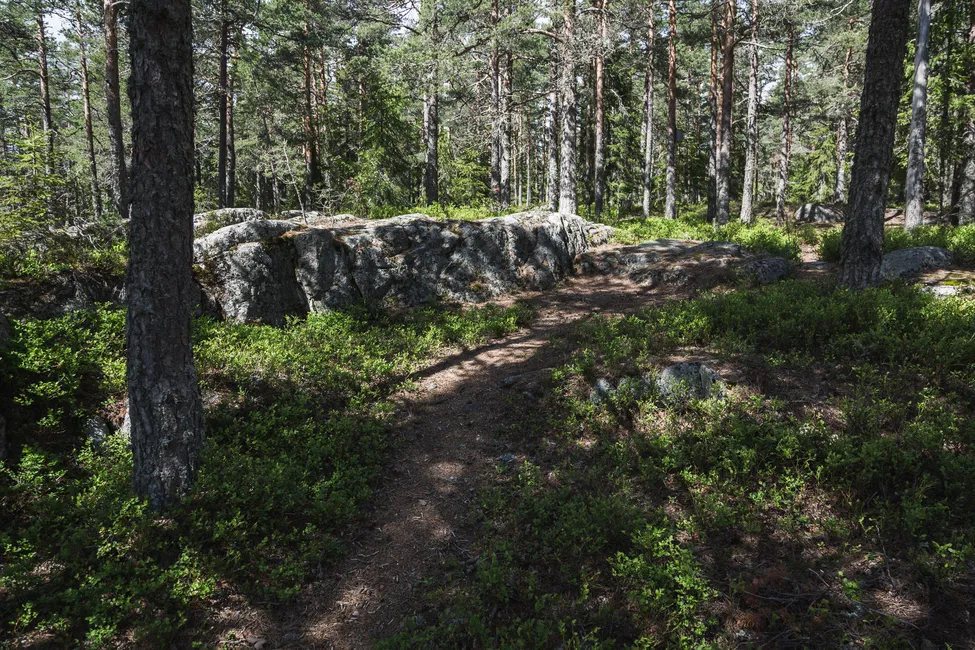 Klicka för att förstora