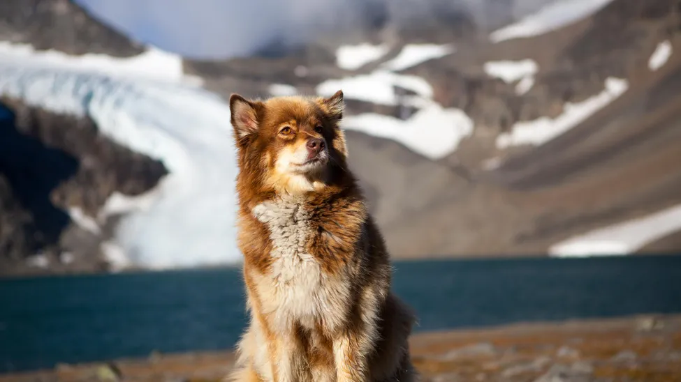Klicka för att förstora